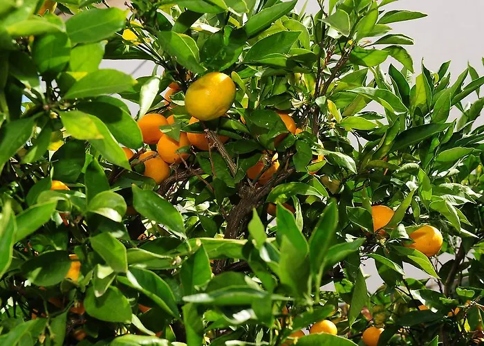 Appartement Luka & Sara *