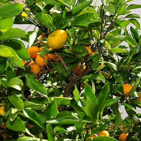 Apartment Luka & Sara *